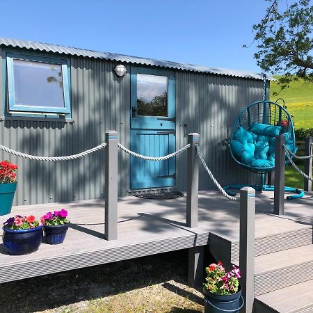 The Peacock Shepherds Hut At Hafoty Boeth Corwen Εξωτερικό φωτογραφία