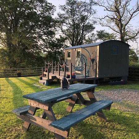 The Peacock Shepherds Hut At Hafoty Boeth Corwen Εξωτερικό φωτογραφία