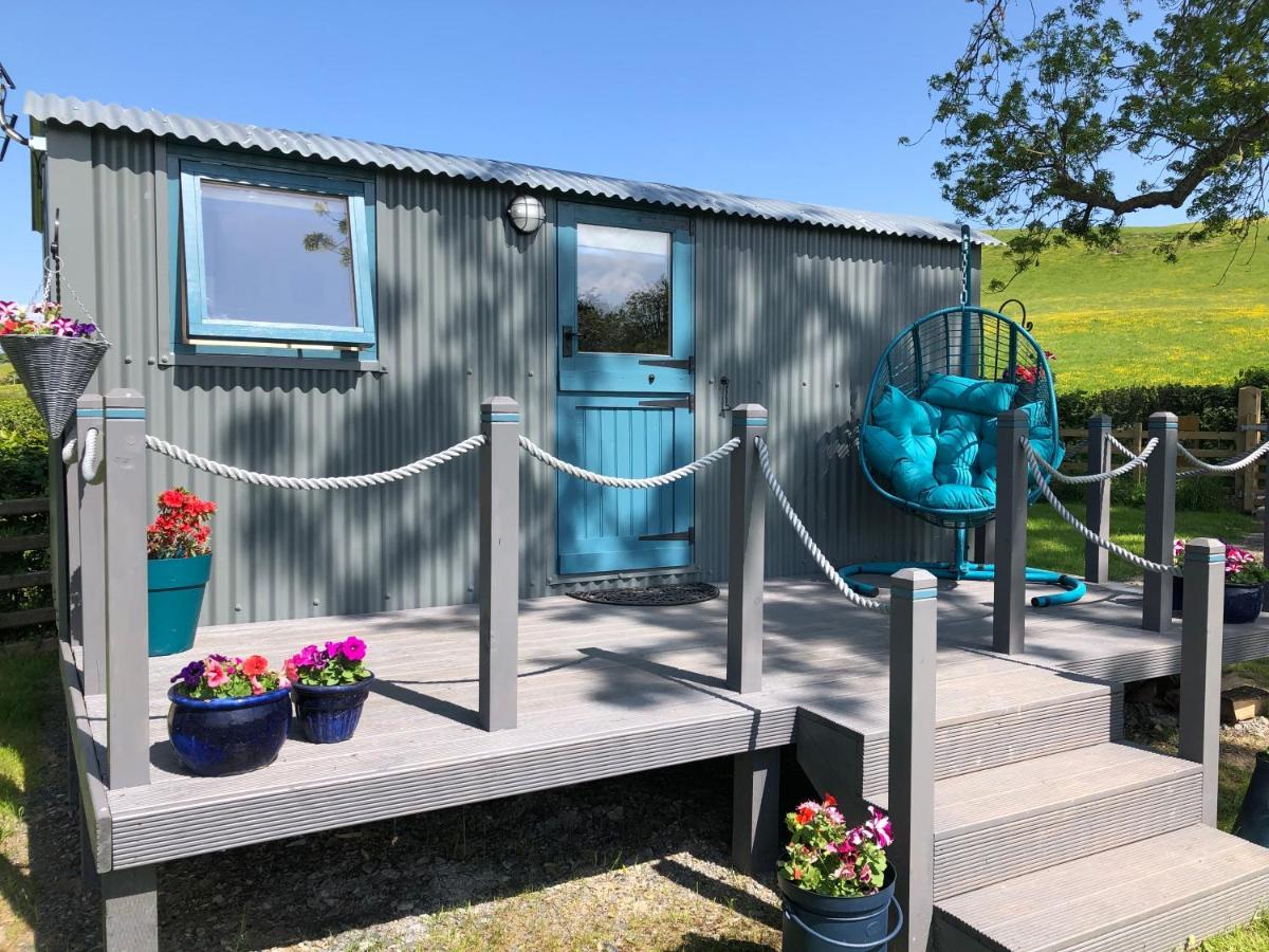 The Peacock Shepherds Hut At Hafoty Boeth Corwen Εξωτερικό φωτογραφία