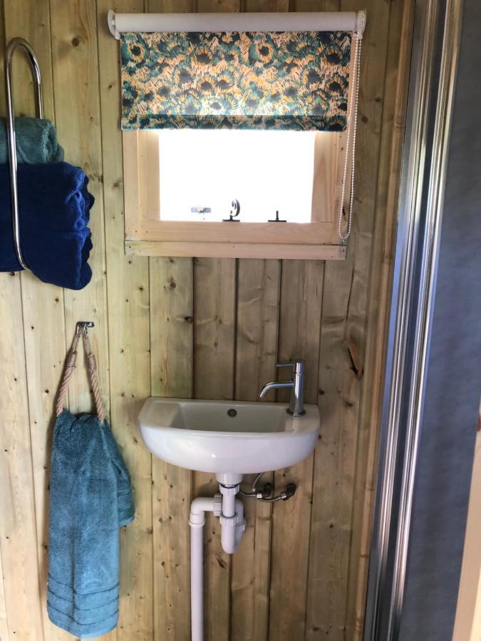 The Peacock Shepherds Hut At Hafoty Boeth Corwen Εξωτερικό φωτογραφία