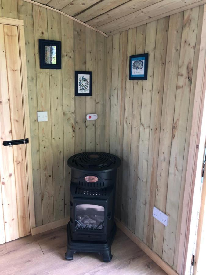 The Peacock Shepherds Hut At Hafoty Boeth Corwen Εξωτερικό φωτογραφία